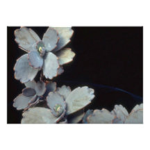 Plant Purple Kalanchoe Custom Invite