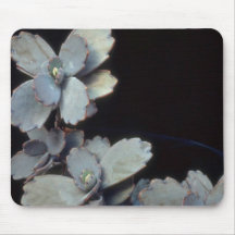 Plant Purple Kalanchoe Mousepads