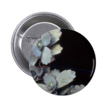 Plant Purple Kalanchoe Pins