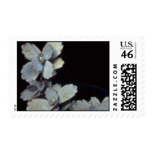 Plant Purple Kalanchoe Stamps