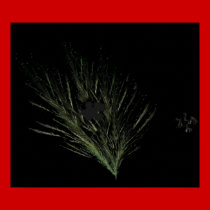 Plant Puzzle posters