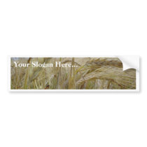 Plant Rye Seed bumper stickers by lifesphere Plant Rye Seed bumper stickers