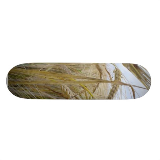 Plant Rye Seed Skateboard Decks