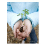 Plant seedling post card