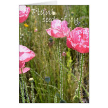 Plant Seeds of Joy cards