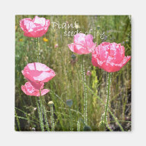 Plant Seeds of Joy magnets