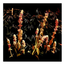 Plant Spikes Poster/Print