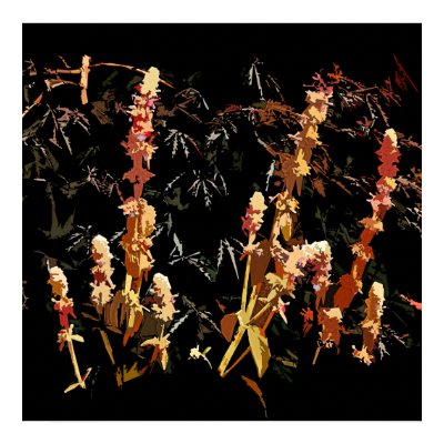 Plant Spikes Poster/Print by nedell