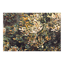 plant structure posters by jeewee plant structure posters