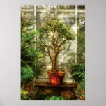 Plant - Tree of life Posters