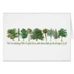 Plant Trees Greeting Card