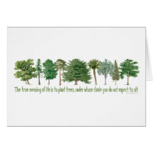 Plant Trees Greeting Card