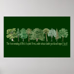 Plant Trees Posters
