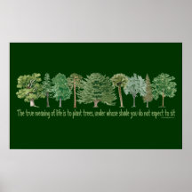 Plant Trees Posters