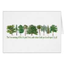 Plant Trees - Tree Lover, Hugger Greeting Cards