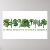 Plant Trees - Tree Lover, Hugger Posters