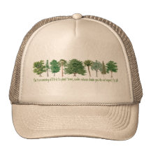 Plant Trees Trucker Hat