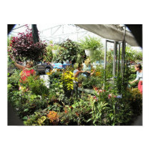 Plant Vendor Byward Market - Ottawa Ontario Canada posters