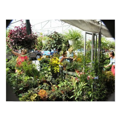 Plant Vendor Byward Market - Ottawa Ontario Canada Poster by joelor
