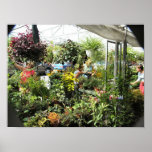 Plant Vendor Byward Market - Ottawa Ontario Canada Poster