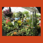 ottawa, byward, market, flowers, canada,