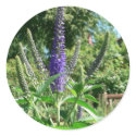 Plant With Purple Flowers stickers by lifesphere Plant With Purple Flowers stickers