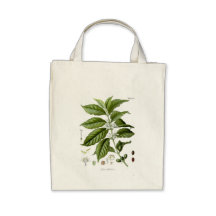 Planta reutilizable del café bolsas