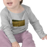 Plantas del trigo camisetas