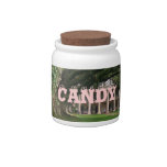 Plantation House Candy Jar