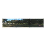 Plantation house near New Orleans Gallery Wrap Canvas