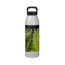 Plantation of grape-bearing vines drinking bottles