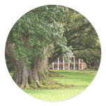 PLANTATION STICKER