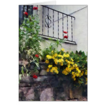 Planter With Yellow Flowering Cactus cards