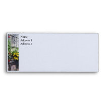 Planter With Yellow Flowering Cactus envelopes