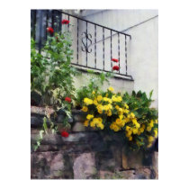 Planter With Yellow Flowering Cactus posters