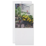 Planter With Yellow Flowering Cactus Rack Card