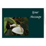 Plantilla de la tarjeta de felicitación de la flor