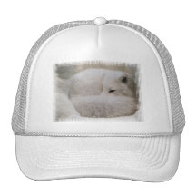 Plantilla del gorra - modificada para requisitos p