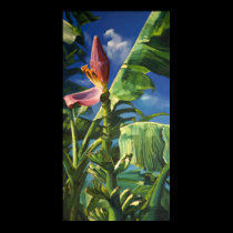 Plantin posters