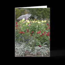 Planting Fields cards