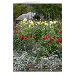 Planting Fields Cards