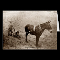 Planting Time cards