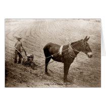 Planting Time cards by bhbphotos Planting Time cards