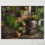Plants - A summers soak Flyer