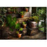 Plants - A summers soak Photo Cut Out