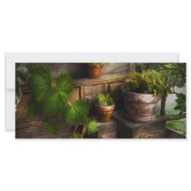 Plants - A summers soak Rack Card Template