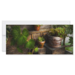 Plants - A summers soak Rack Card Template