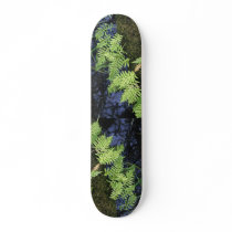 Plants and Water Scenery Skateboards