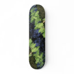Plants and Water Scenery Skateboards