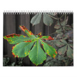 Plants Wall Calendars